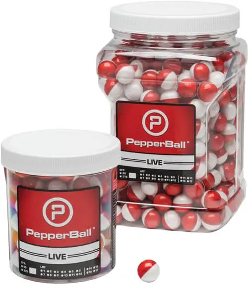 严阵以待一月更新内容是什么 一月更新内容前瞻分享