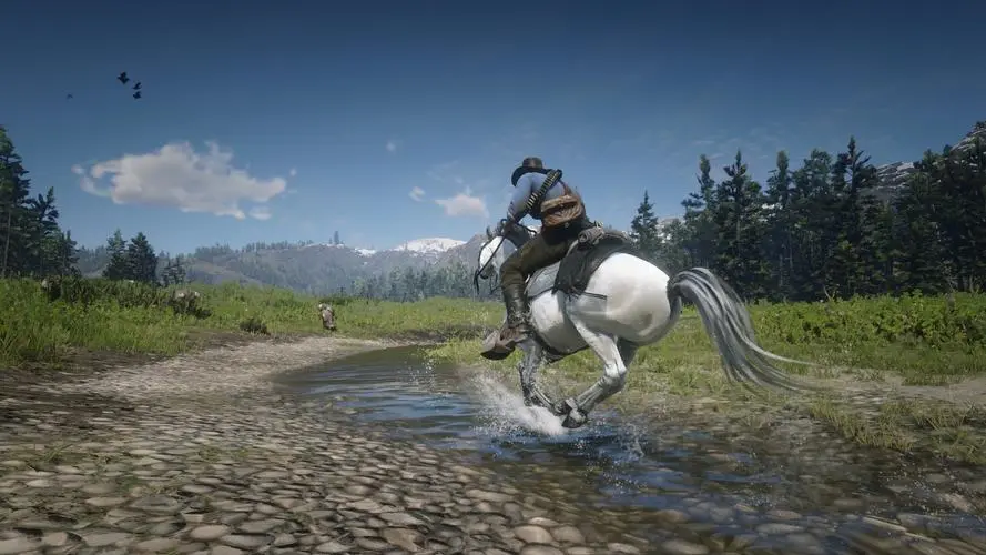 传说熊皮怎么用（传说熊皮在哪上交）