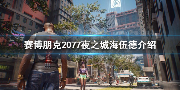 赛博朋克2077夜之城海伍德地区有什么