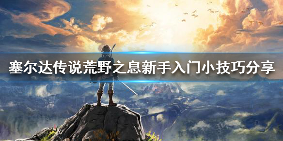 塞尔达传说荒野之息新手该怎么玩（塞尔达传说荒野之息新手该怎么玩啊）