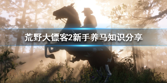 荒野大镖客2新手怎么养马 荒野大镖客2新手怎么养马