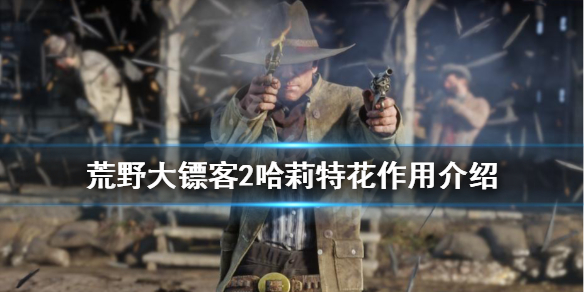 荒野大镖客2哈莉特花有什么用（荒野大镖客2哈莉特花怎么用）