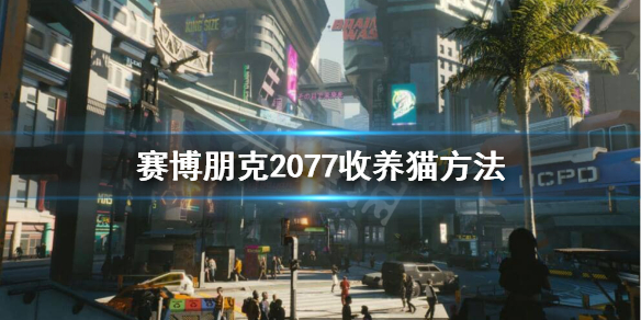 赛博朋克2077猫在哪获得（赛博朋克2077猫又怎么开枪）