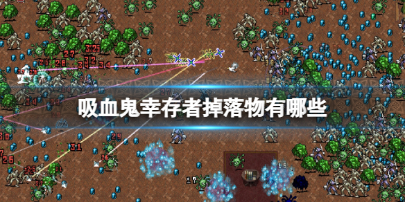 吸血鬼幸存者掉落物有哪些（吸血鬼幸存者掉落物有哪些东西）