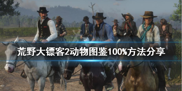 荒野大镖客2动物图鉴满级怎么玩（荒野大镖客2动物一览）