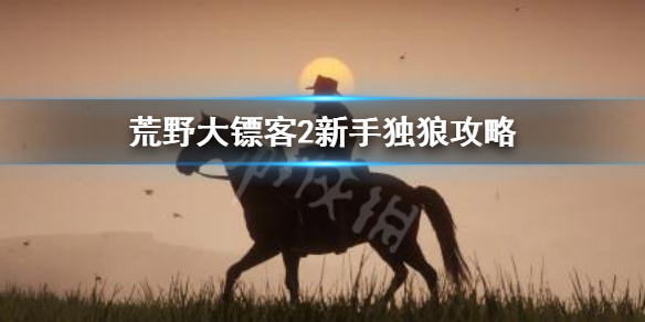 荒野大镖客2新手独狼怎么玩 荒野大镖客2线上独狼攻略