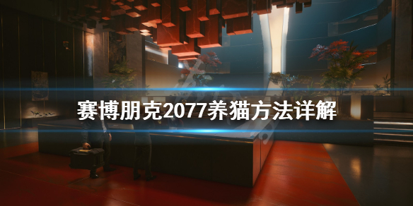 赛博朋克2077怎么养猫（赛博朋克2077养猫以后怎么喂）