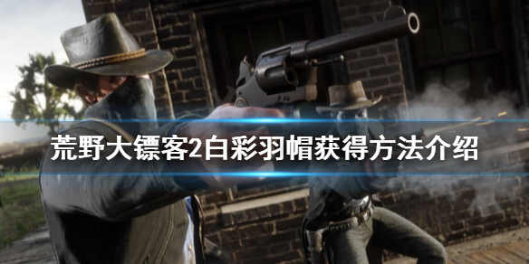 荒野大镖客2白彩羽帽怎么获得（荒野大镖客2白彩羽帽怎么获得视频）