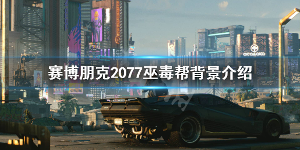 赛博朋克2077巫毒帮怎么样（赛博朋克2077巫毒帮任务怎么选择）