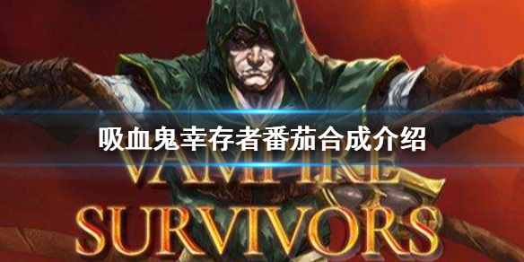 吸血鬼幸存者番茄有什么用（吸血鬼生存游戏）