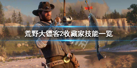 荒野大镖客2收藏家技能一览（荒野大镖客2收藏家技能一览图）