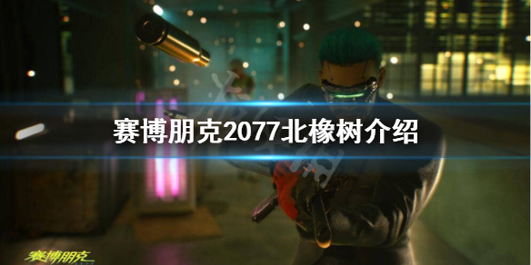 赛博朋克2077北橡树地区怎么样 2077北橡区墓地