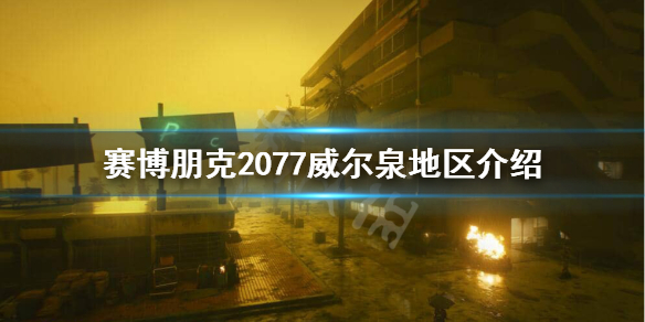 赛博朋克2077威尔泉怎么样（2077 威尔士）