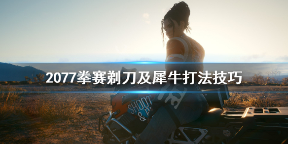 赛博朋克2077拳赛犀牛怎么打（2077打拳 犀牛）
