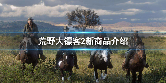 荒野大镖客2新商品介绍 荒野大镖客2新内容