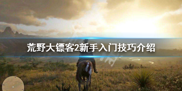 荒野大镖客2新手玩法技巧大全（荒野大镖客2新手玩法技巧大全视频）