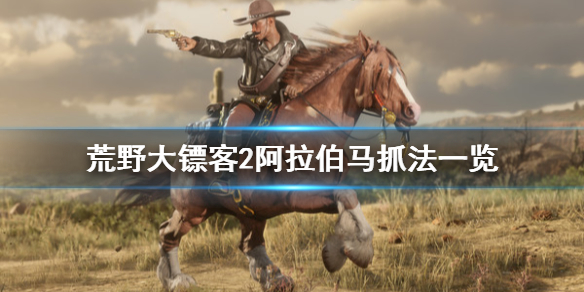 荒野大镖客2阿拉伯马怎么驯服（荒野大镖客2阿拉伯马怎么驯服位置）