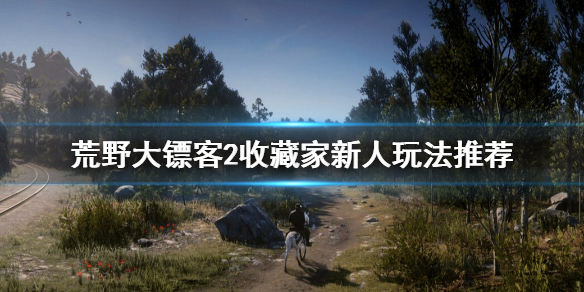 荒野大镖客2收藏家怎么上手（荒野大镖客2 收藏家攻略）