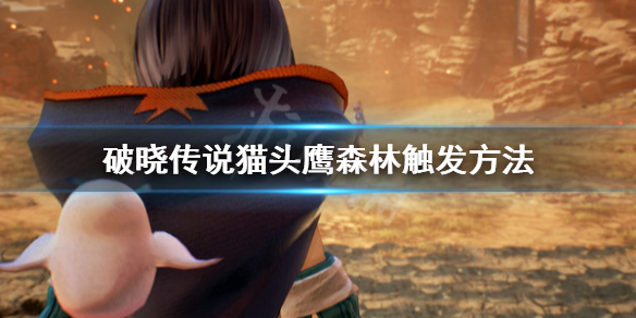 破晓传说猫头鹰森林去哪找 破晓传说 猫头鹰森林
