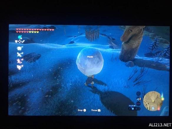 塞尔达传说荒野之息滚雪球位置及正确方法图文详解