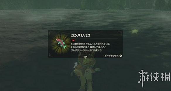 塞尔达传说野之息早期获得高能力马的方法 高能力马在哪