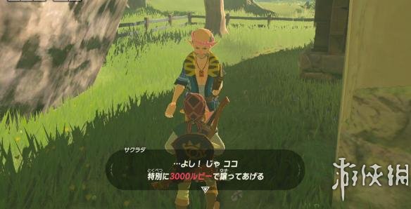 塞尔达传说荒野之息如何获得自己的房子 房子任务攻略