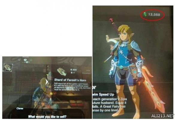 塞尔达传说荒野之息效率刷钱方法解析攻略 荒野之息怎么刷钱