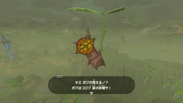 荒野之息武器栏怎么扩充（荒野之息武器栏怎么扩充人物）