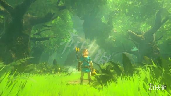 荒野之息剑之试炼初阶无伤攻关攻略（荒野之息剑之试炼初阶 bug）