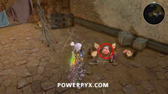 破晓传说猫头鹰位置汇总 破晓传说猫头鹰在哪