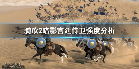 骑马与砍杀2暗影侍卫怎么用（骑马与砍杀2暗影之子是什么）