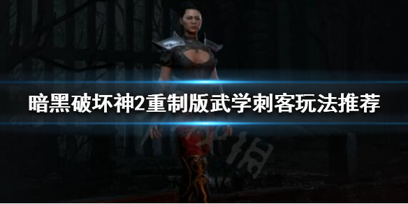 暗黑破坏神2重制版武学刺客怎么玩 暗黑破坏神2重制版武学刺客怎么玩视频