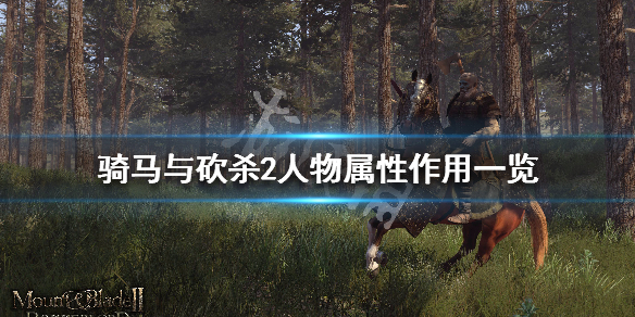 骑马与砍杀2人物属性作用一览（骑马与砍杀2最优属性选择）