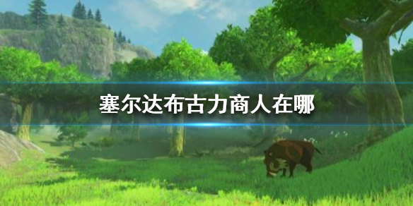塞尔达布古力商人在哪（赛尔达传说布拓）