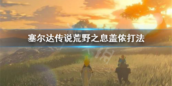 塞尔达传说荒野之息盖侬怎么打 赛尔达传说荒野之息盖侬攻略视频