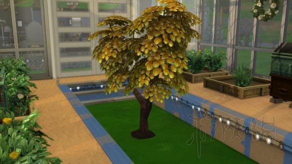 模拟人生4春夏秋冬DLC全方位教学图文攻略 春夏秋冬怎么玩 新增内容