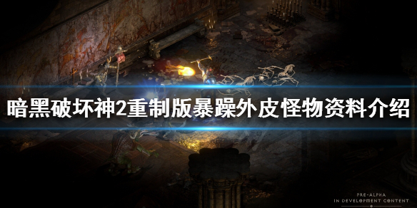 暗黑破坏神2重制版皮叔是什么（暗黑破坏神2重制版皮叔是什么职业的）