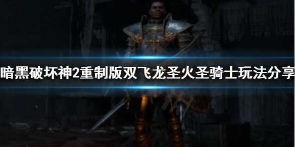 暗黑2重制版新版本圣骑士怎么玩（暗黑2重制版圣骑士最强玩法）