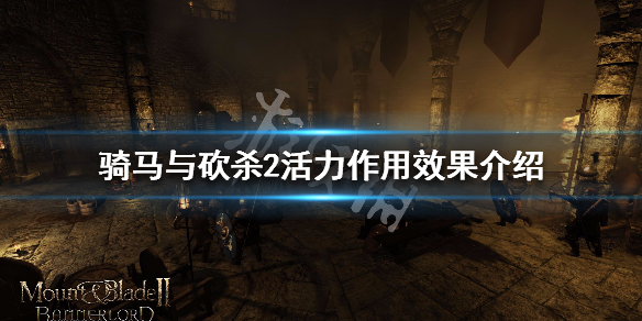 骑马与砍杀2活力属性有什么用 骑马与砍杀2活力属性有什么用啊