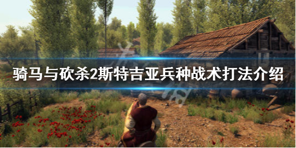 骑马与砍杀2斯特吉亚兵种强度怎么样 骑马与砍杀2斯特吉亚士兵