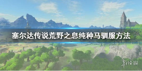 塞尔达传说荒野之息纯种马怎么驯服（塞尔达 纯种马怎么驯服）