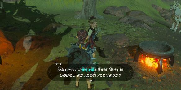 塞尔达传说荒野之息全主线任务流程难点关卡图文攻略 第一座塔