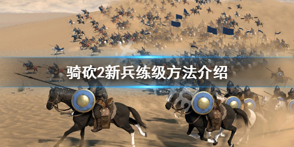 骑马与砍杀2新兵怎么练级（骑马与砍杀2快速升级兵）