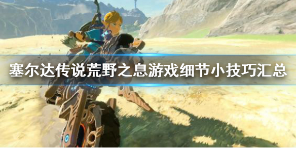 塞尔达传说荒野之息有哪些细节（塞尔达传说荒野之息细节及小技巧汇总...）