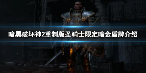 暗黑破坏神2重制版暗金盾牌有哪些（暗黑2暗金饰金盾）