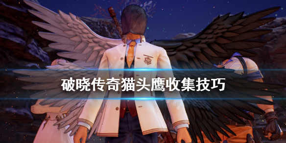 破晓传说猫头鹰怎么找（破晓传说猫头鹰支线任务）