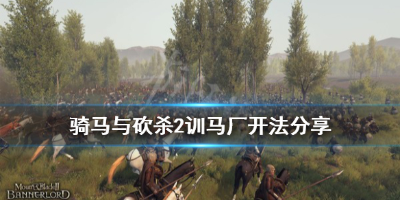 骑马与砍杀2有什么隐藏工厂（骑马与砍杀2哪里工厂赚钱）