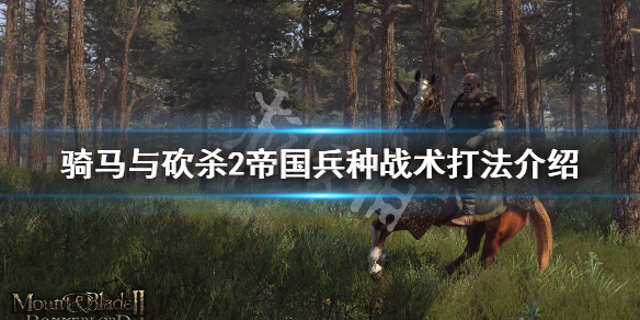 骑马与砍杀2帝国兵种详解（骑马与砍杀2帝国兵种详解攻略）