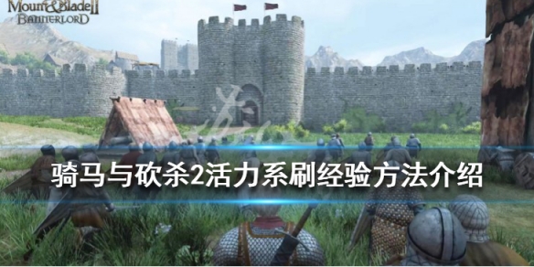 骑马与砍杀2活力技能怎么刷经验（骑砍二活力和控制）