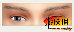 《模拟人生4》男性替代眉毛(18种全色系 )安装教程